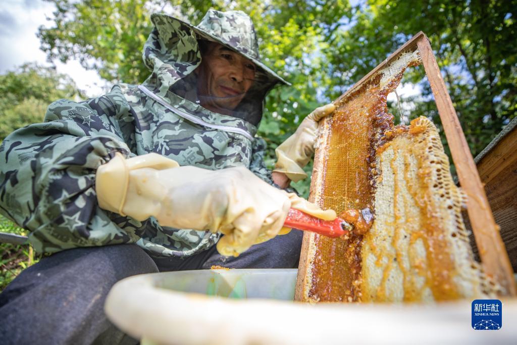 冰球突破